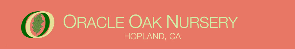 Oracle Oak Nursery banner — native oak tree nursery in Hopland CA